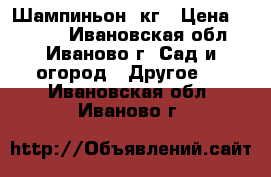 Шампиньон 8кг › Цена ­ 2 480 - Ивановская обл., Иваново г. Сад и огород » Другое   . Ивановская обл.,Иваново г.